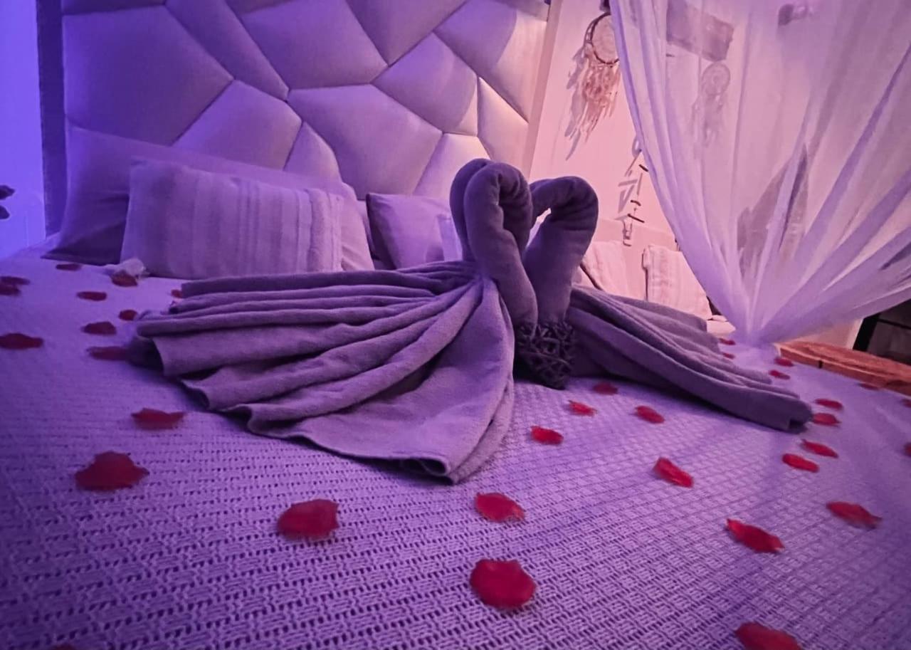 Villa Cocoon - Love Room Cocooning & 50 Nuances キュージュ・レ・パン エクステリア 写真